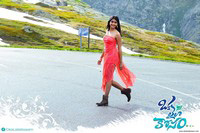 Oka Laila Kosam Movie Wallpapers